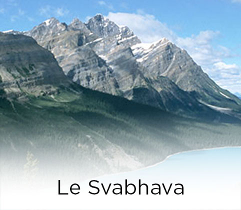 Svabhava